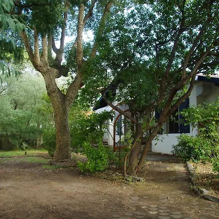 Grande Maison Landaise Pres Du Port De Capbreton, 4 Chambres, Jardin, Animaux Admis - Fr-1-413-232